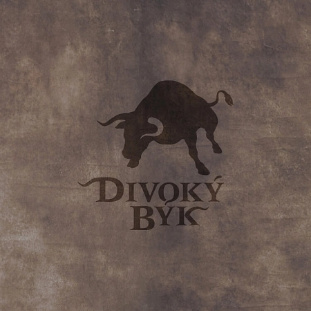 Divoký býk